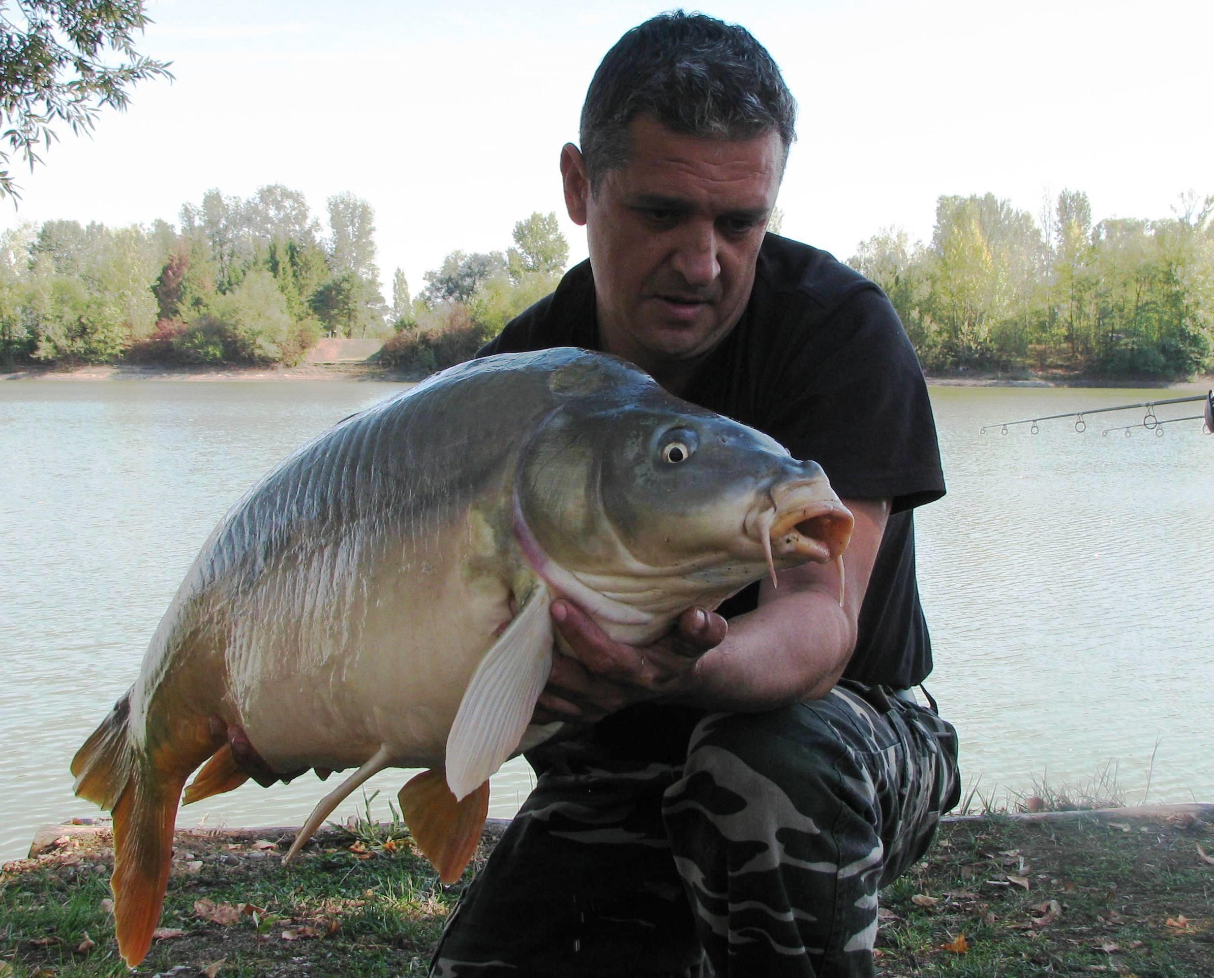 septembrie - octombrie 2012 - IMG_5295.JPG